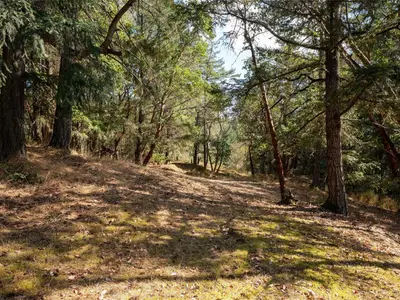 View 33