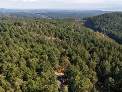 View 44