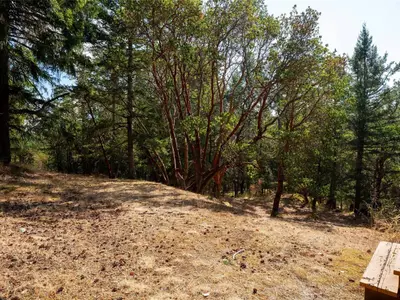 View 31