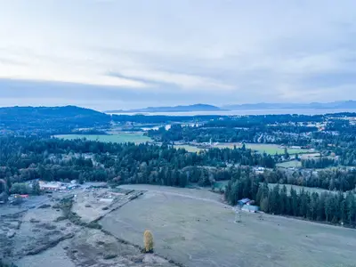 View 50