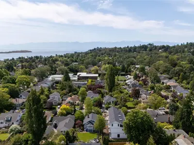 View 41