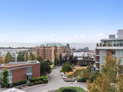 View 23