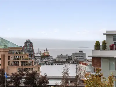 View 25