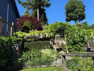 View 55