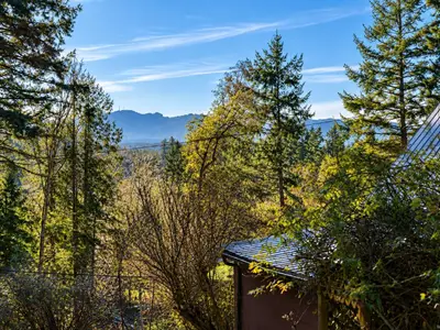 View 23