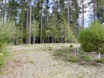View 15