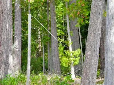 View 25