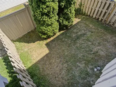 View 19