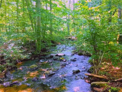 View 37