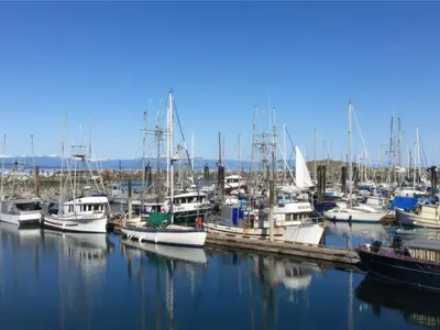View 39
