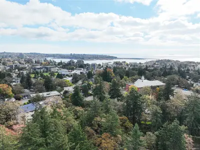 View 32
