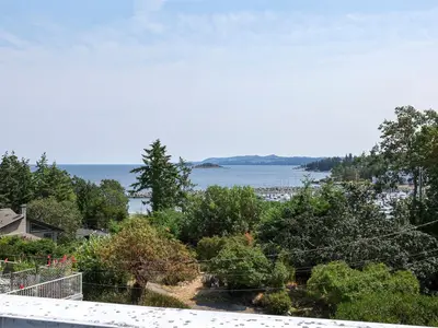 View 29