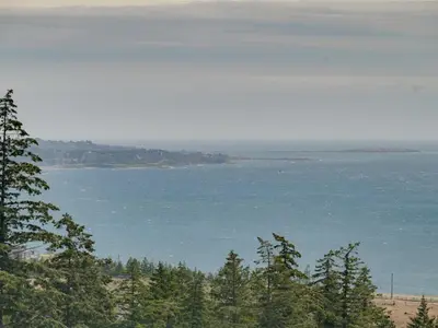 View 73