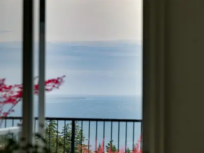 View 71