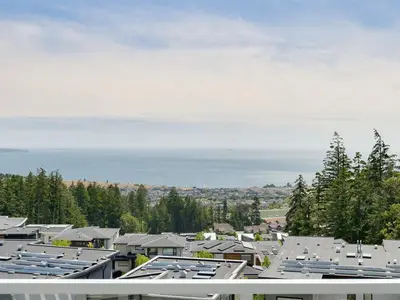 View 75