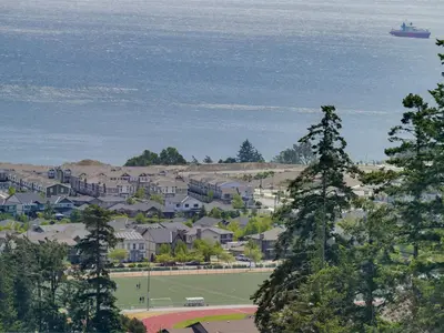 View 79