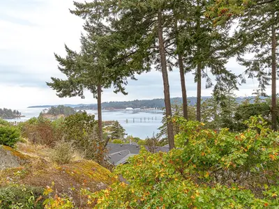View 36