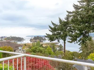 View 32