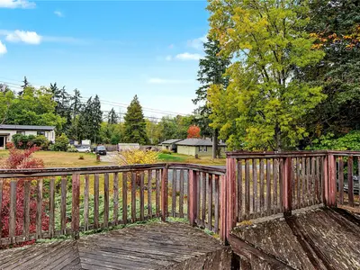 View 23