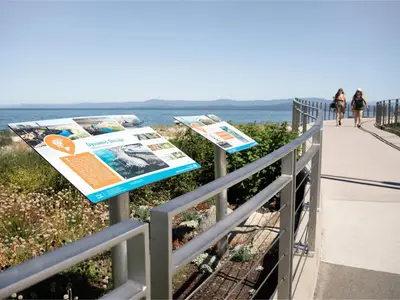 View 57