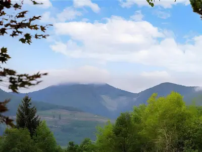 View 3
