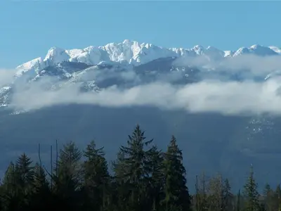 View 51