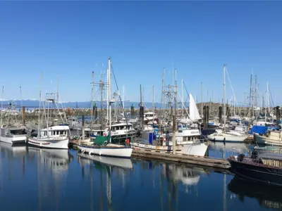View 55