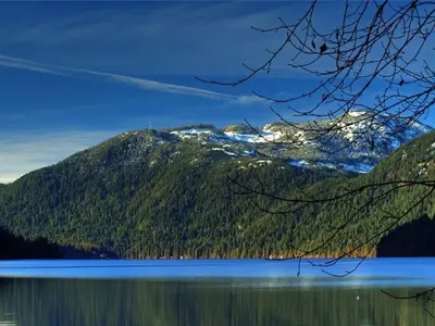 View 54