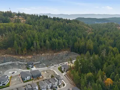 View 59