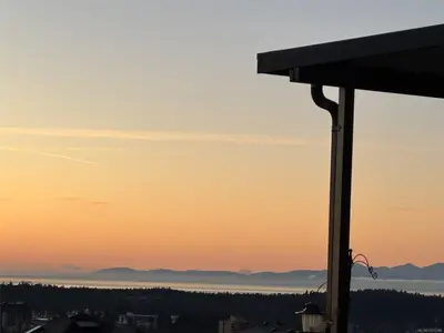 View 53