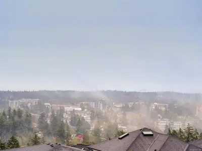 View 35