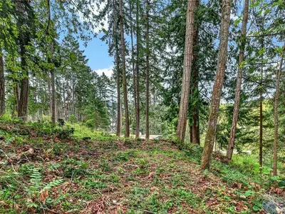 View 23