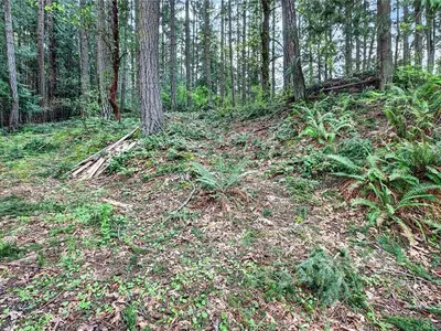 View 24