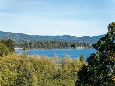 View 65