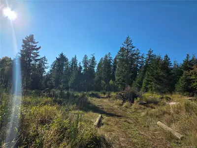 View 7