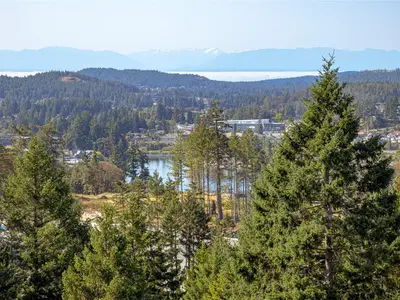 View 43