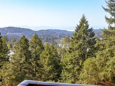 View 44