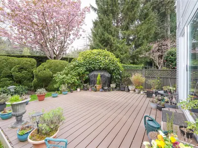 View 15