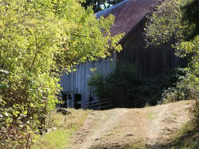 View 15