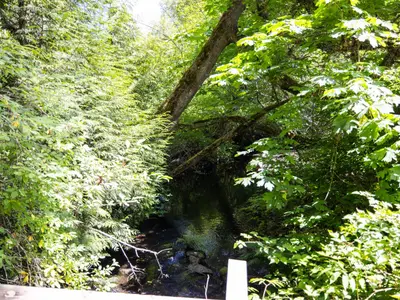 View 19