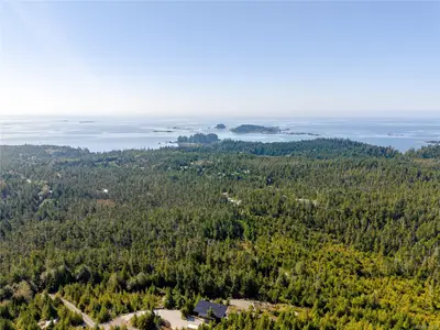 View 42