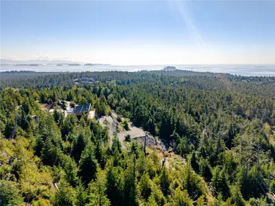 View 43