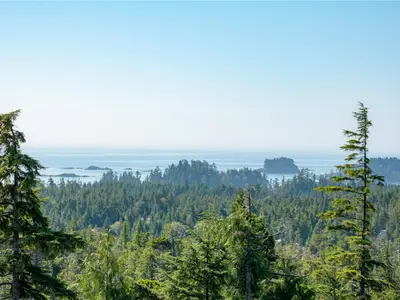 View 38
