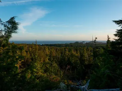 View 48
