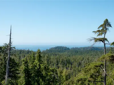 View 39