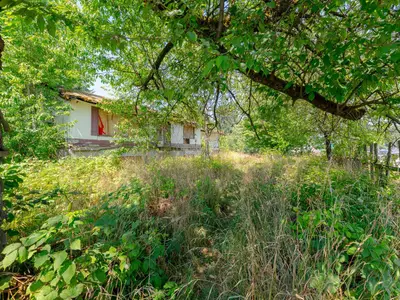 View 21