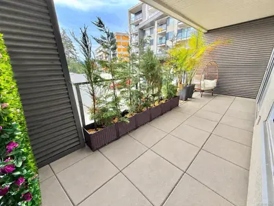 View 15