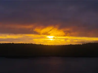 View 51