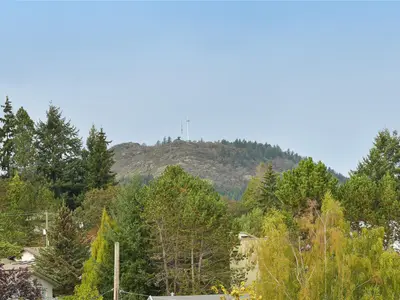 View 49