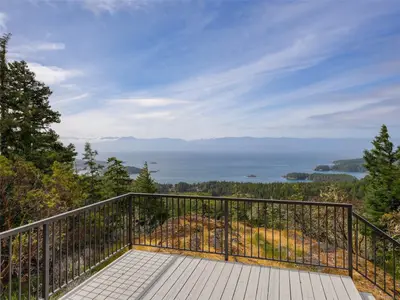 View 39